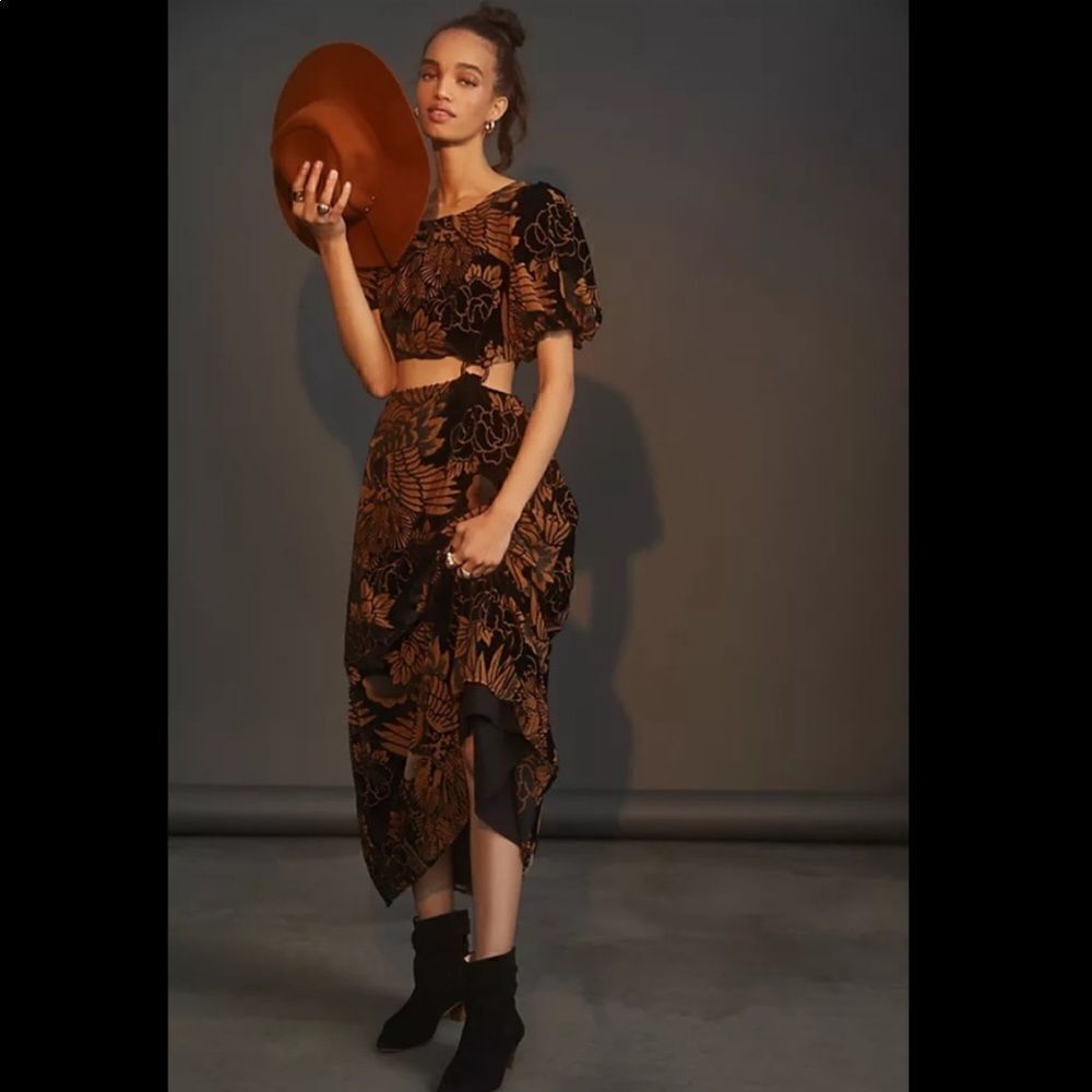 Anthropologie Black and Rust Floral Velvet Maxi Dress
